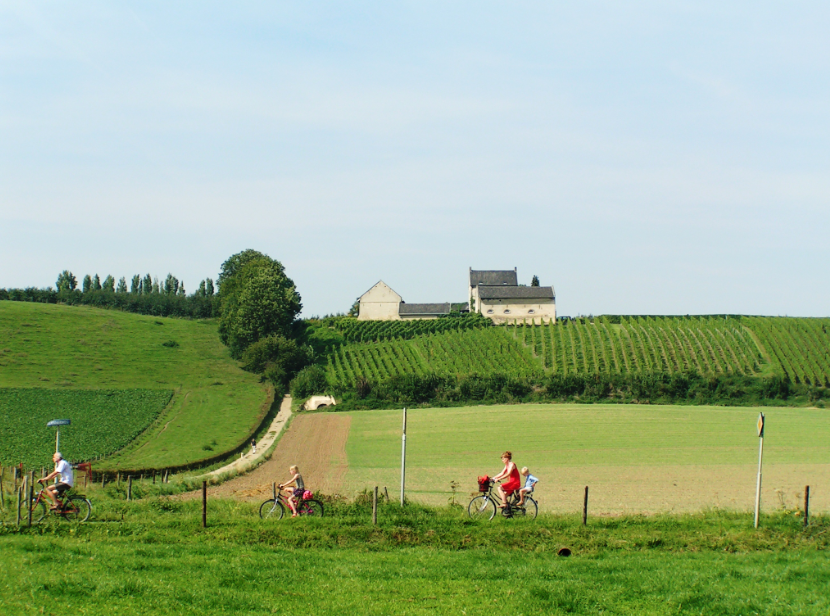 Wine from Limburg