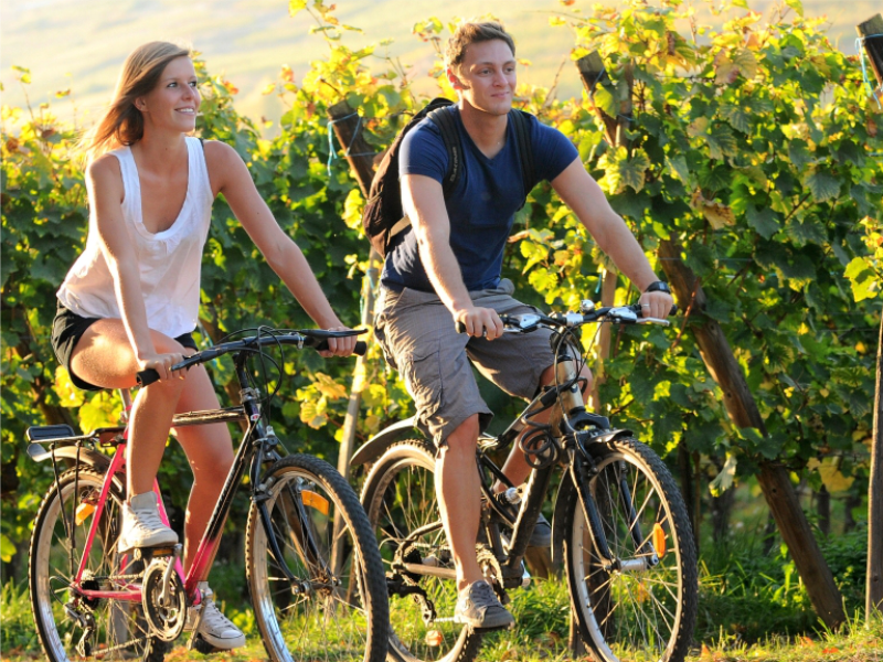 Wijnroutes per fiets